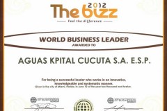 WORLD_BUSSINESS_LEADER_THE_BIZZ